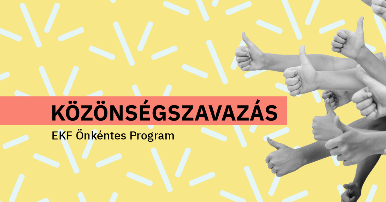 Önkéntes program szavazás