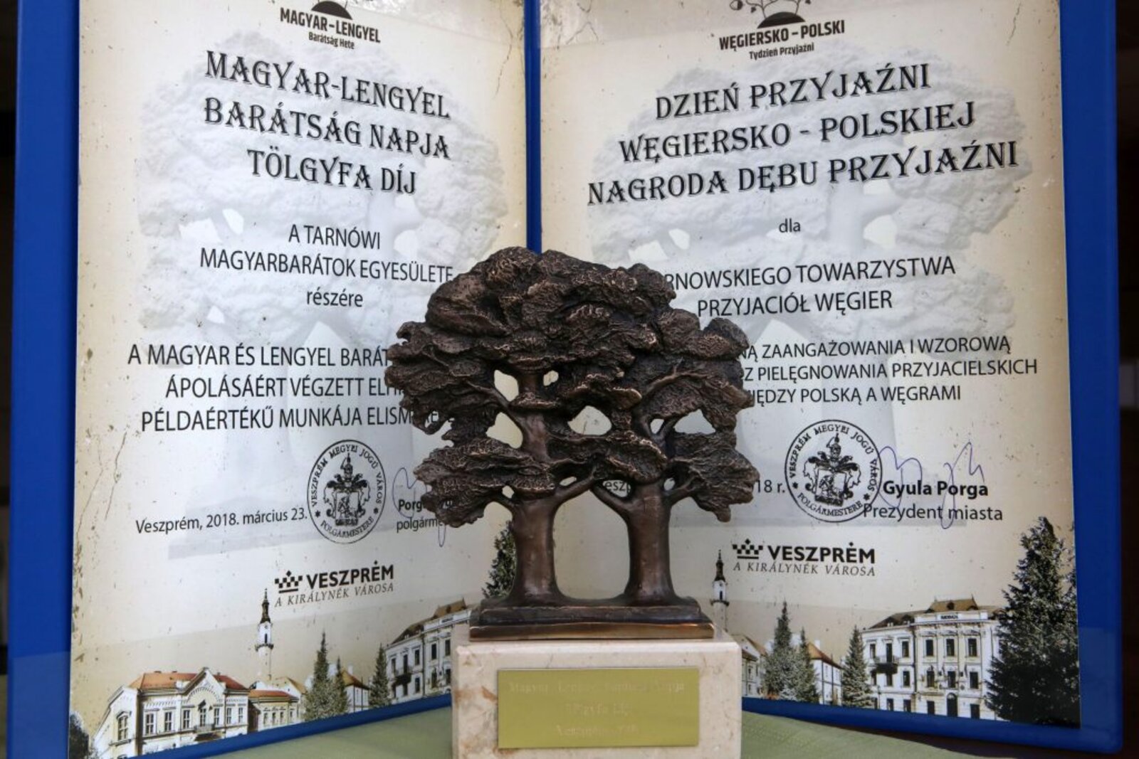 Testvérvárosi konferencia