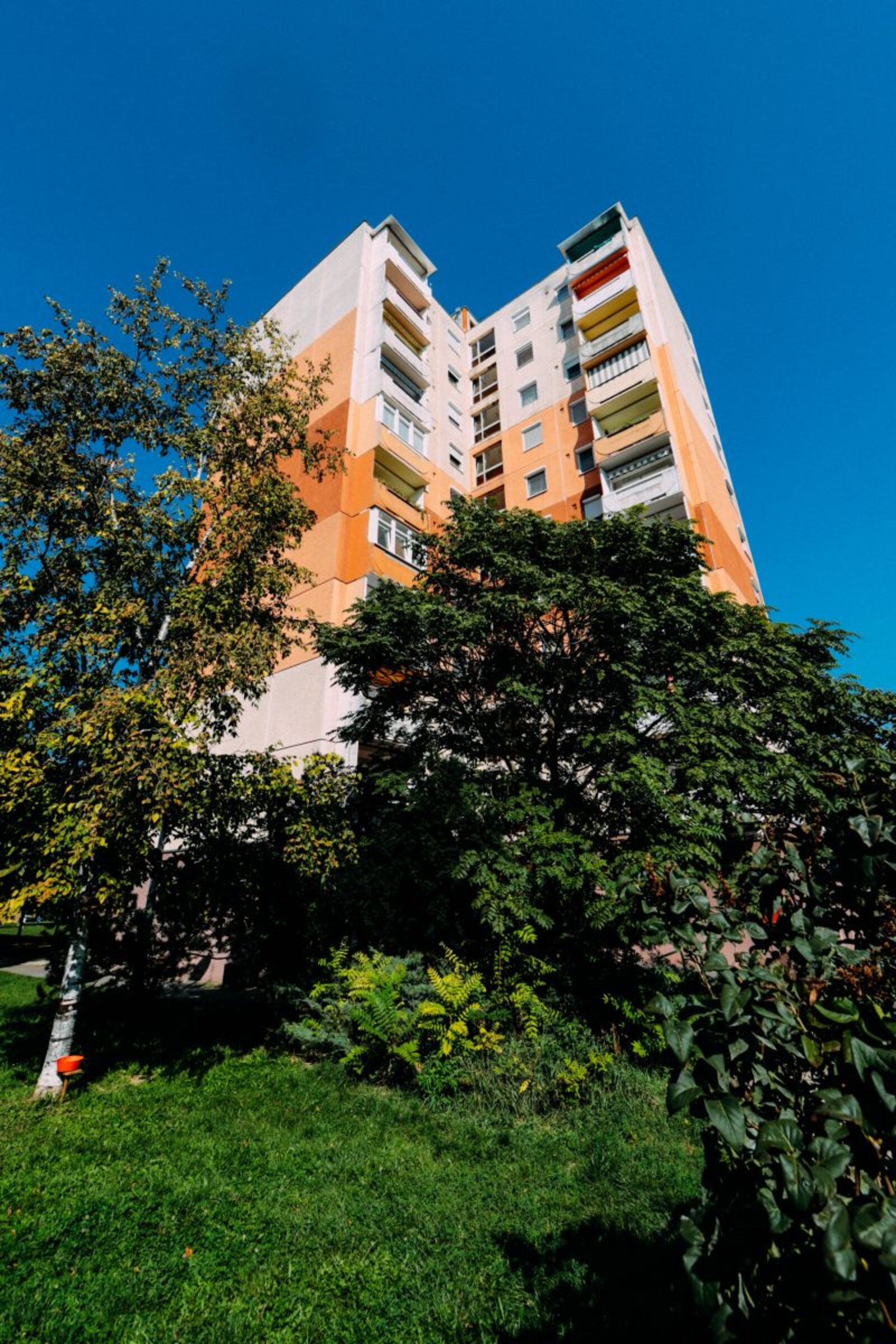 Haszkovó