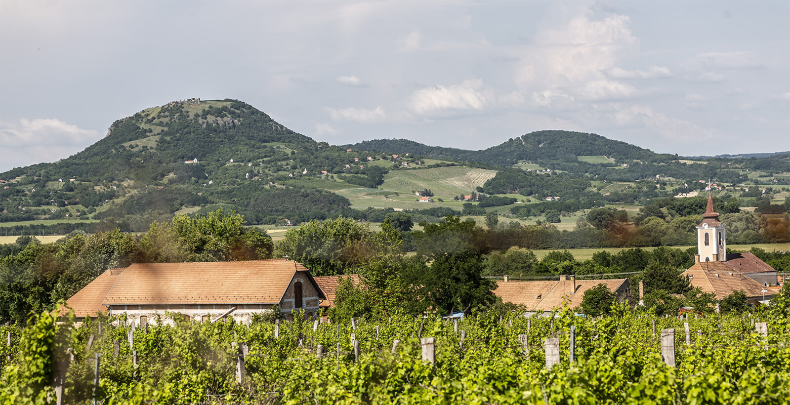 Kisapáti